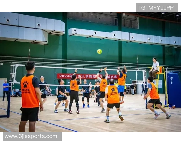 杭州排球队的默契配合与战术探讨聚焦排球的团队协作之道