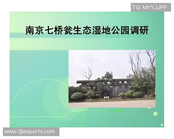 南京乒乓球队与杭州乒乓球队个人能力赛后分析与对比探讨 南京乒乓球队与杭州乒乓球队个人能力赛后分析与对比探讨