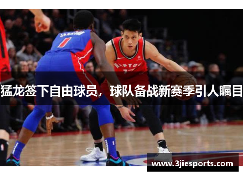 猛龙签下自由球员，球队备战新赛季引人瞩目