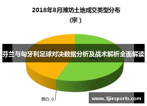 芬兰与匈牙利足球对决数据分析及战术解析全面解读